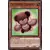Mega Pack 2019 - Sarcophage Doré MP19 - Patchwork Peluchimal