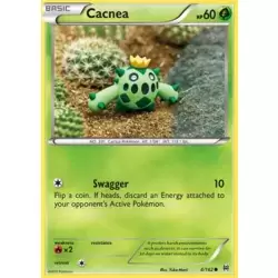 Cacnea