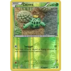 Cacnea Reverse