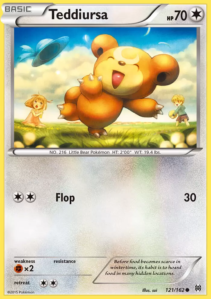 XY Breakthrough - Teddiursa