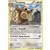 Ursaring