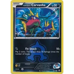 Team Aqua's Carvanha Reverse