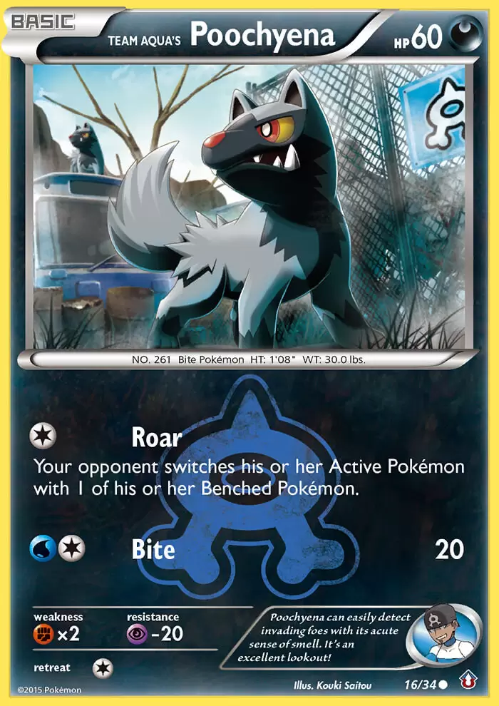 XY Double Crisis - Team Aqua\'s Poochyena