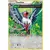 Swellow