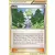 XY Roaring Skies - Wally