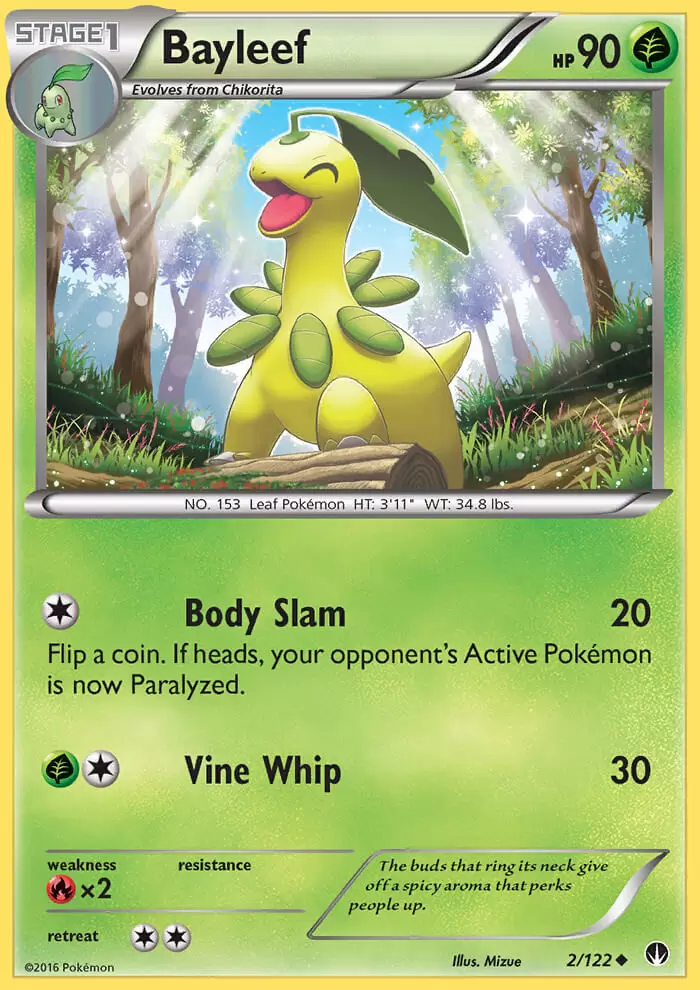 XY Breakpoint - Bayleef