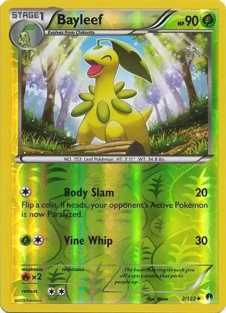 XY Breakpoint - Bayleef Reverse