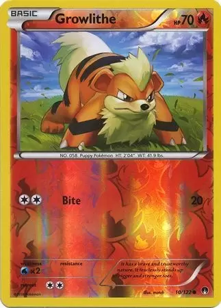 XY Breakpoint - Growlithe Reverse