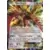 XY Breakpoint - Ho-Oh EX