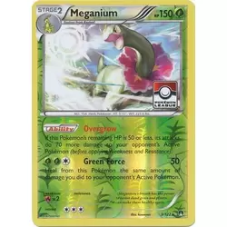 Meganium Reverse Pokemon League