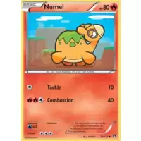 Numel