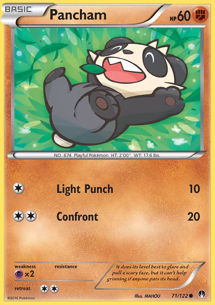 XY Breakpoint - Pancham