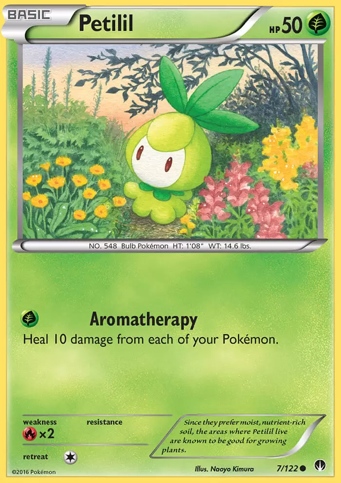 XY Breakpoint - Petilil