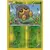 XY Breakpoint - Seedot Reverse