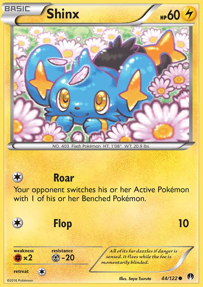 XY Breakpoint - Shinx