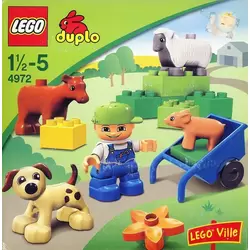 Animals