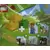 LEGO Duplo - Farm (Random Bag)