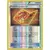 XY Fates Collide - Fossil Excavation Kit Reverse