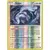 Lugia Reverse