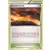 XY Fates Collide - Scorched Earth