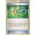 XY Generations - Maintenance