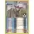XY Steam Siege - Ninja Boy Reverse League Cup