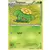 Skiploom