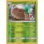 Decidueye Reverse Pokemon League