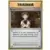 XY Evolutions - Brock\'s Grit