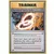 XY Evolutions - Charizard Spirit Link