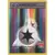 XY Evolutions - Double Colorless Energy Reverse North America Championships
