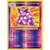 XY Evolutions - Nidoking Reverse