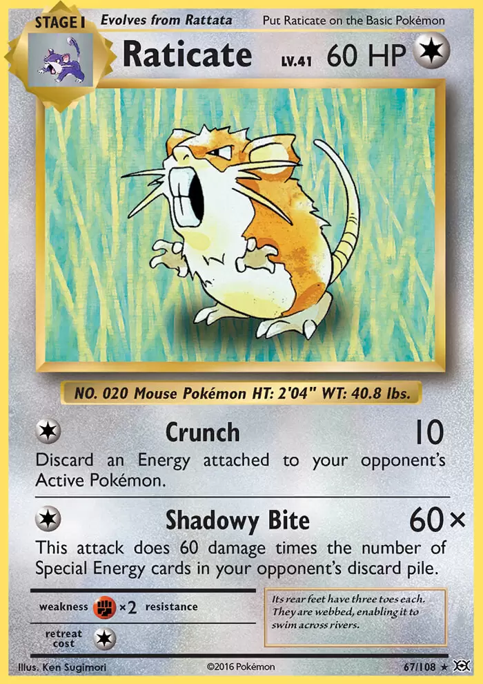 XY Evolutions - Raticate