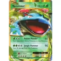 Venusaur EX
