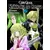 Tome 2