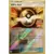 Ultra Ball Reverse Oceania Championships