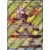 Ultra Prism - Xurkitree GX