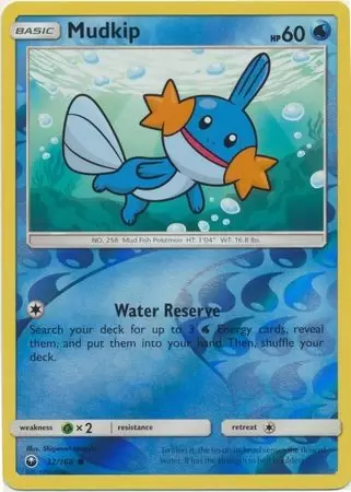Celestial Storm - Mudkip Reverse