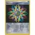 Rainbow Energy Reverse