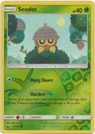 Celestial Storm - Seedot Reverse