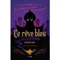 Aladdin : Ce rêve bleu, et si Aladdin n'avait jamais trouvé la lampe ?