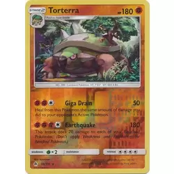 Torterra Reverse