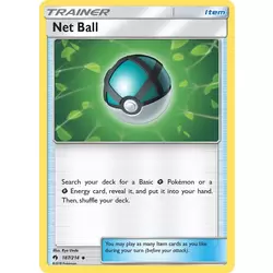 Net Ball