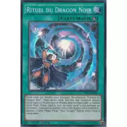 Les Dragons de Légende 2 DRL2 - Rituel du Dragon Noir