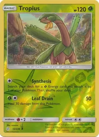 Cosmic Eclipse - Tropius Reverse