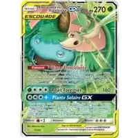 Florizarre et Vipélierre GX