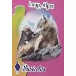 Loup, Alpes