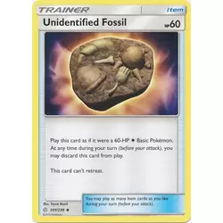 Unidentified Fossil