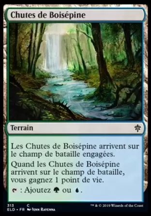 Le trône d\'Eldraine - Chutes de Boisépine