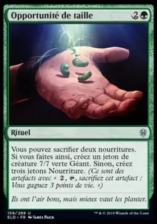 Le trône d\'Eldraine - Opportunité de taille